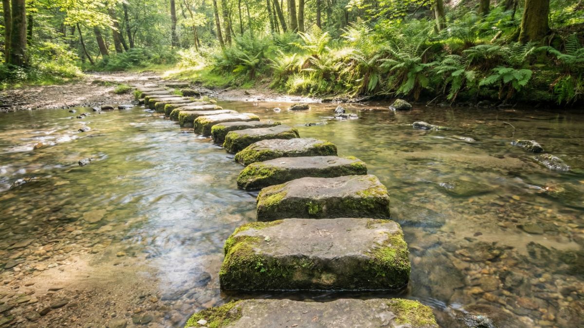 Cum să alegeți psihologul potrivit: Ghid practic în 5 pași