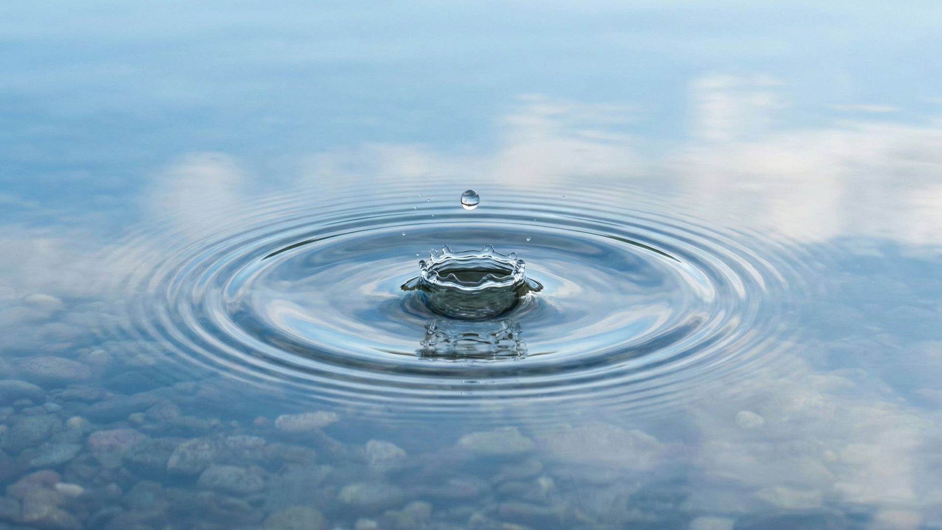 Contact și programări la cabinetul de psihologie Corman Ioana Ligia din Sibiu.