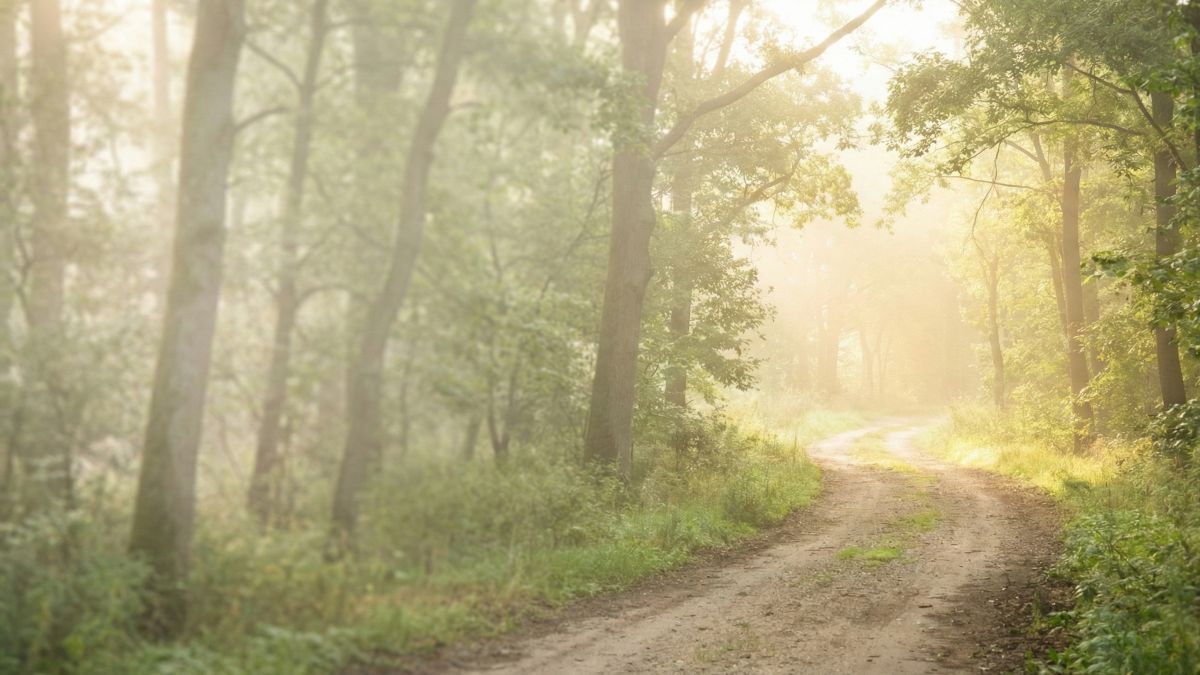 Psihoterapie individuală în Sibiu pentru anxietate și depresie - cabinet Corman Ioana Ligia.